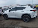 Lexus NX Premium Image 15