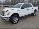 Ford F-150 Xlt Image 7