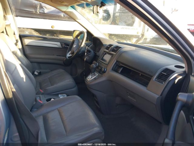 Honda CR-V Ex-l Image 3