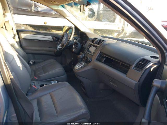 Honda CR-V Ex-l Image 3