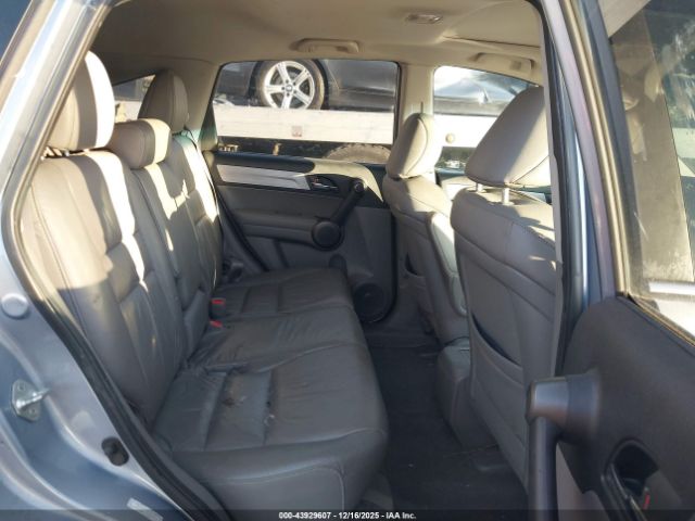 Honda CR-V Ex-l Image 6