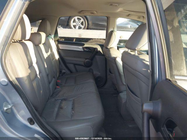 Honda CR-V Ex-l Image 6