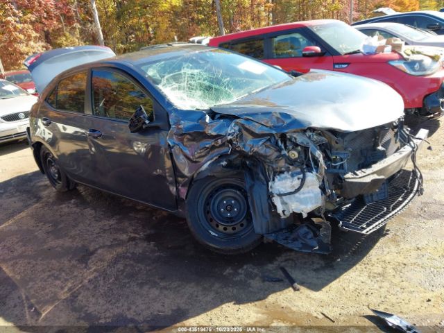 Toyota Corolla Le Image 1