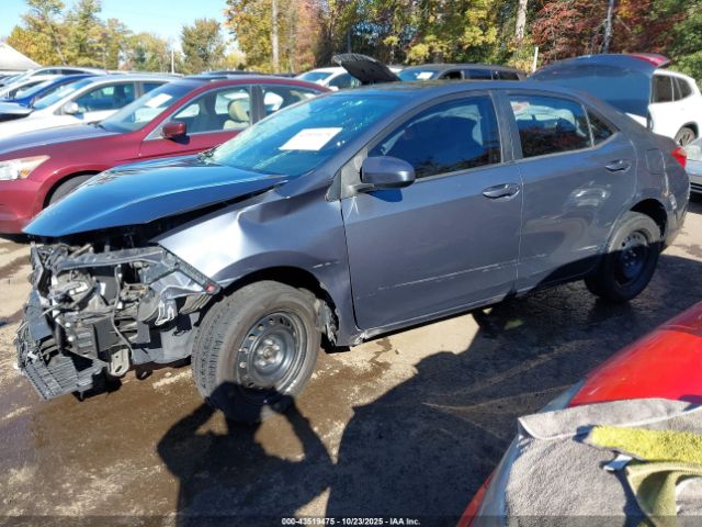 Toyota Corolla Le Image 3