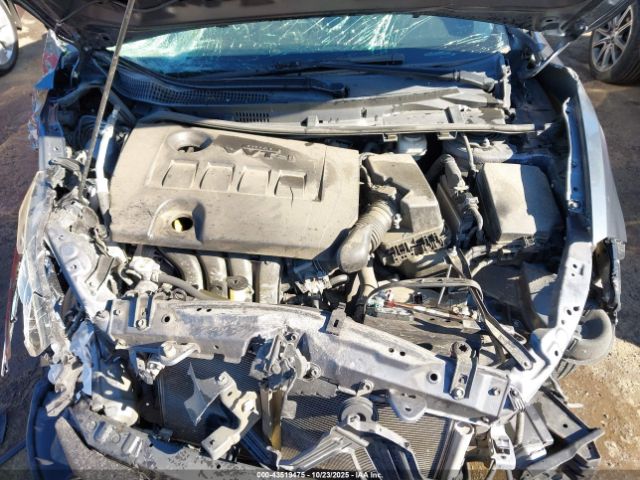 Toyota Corolla Le Image 9