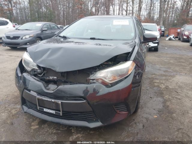 Toyota Corolla Le Image 3