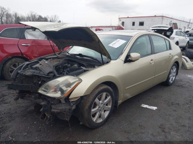 Nissan Maxima 3.5 Se Image 3