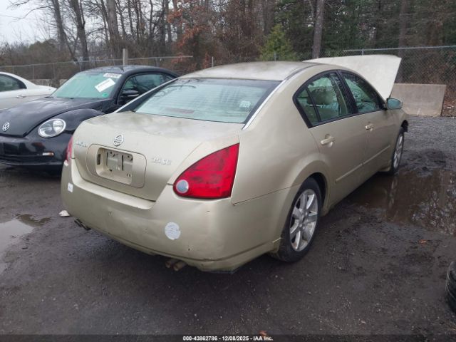 Nissan Maxima 3.5 Se Image 11