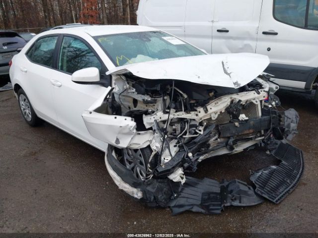 Toyota Corolla Le Image 1