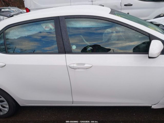 Toyota Corolla Le Image 2