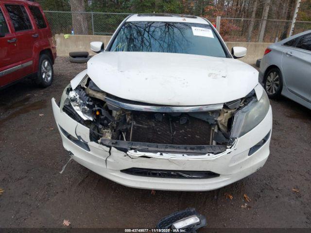 Honda Accord Ex-l Image 10