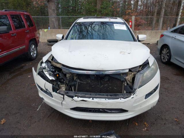 Honda Accord Ex-l Image 6