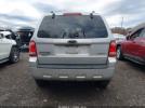Ford Escape Xlt Image 15