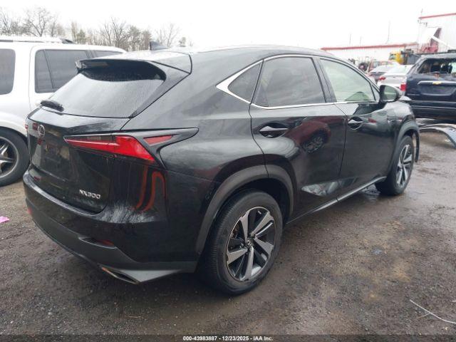 Lexus NX Image 4