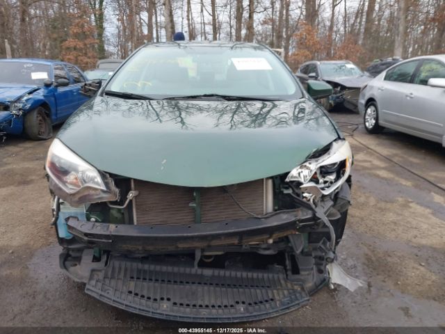 Toyota Corolla Le Image 10