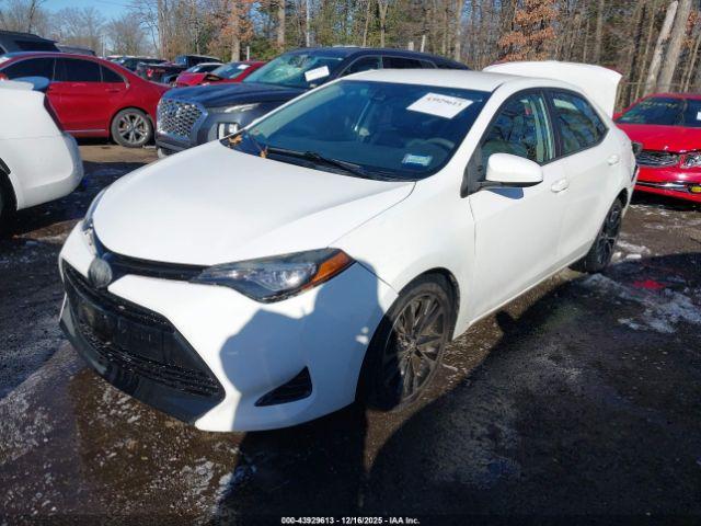 Toyota Corolla Le Image 2