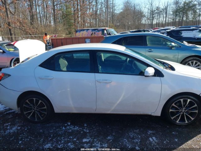 Toyota Corolla Le Image 11