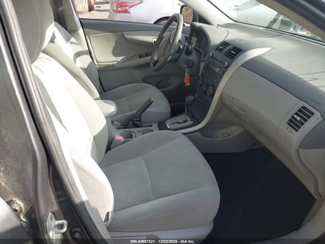 Toyota Corolla Le Image 3