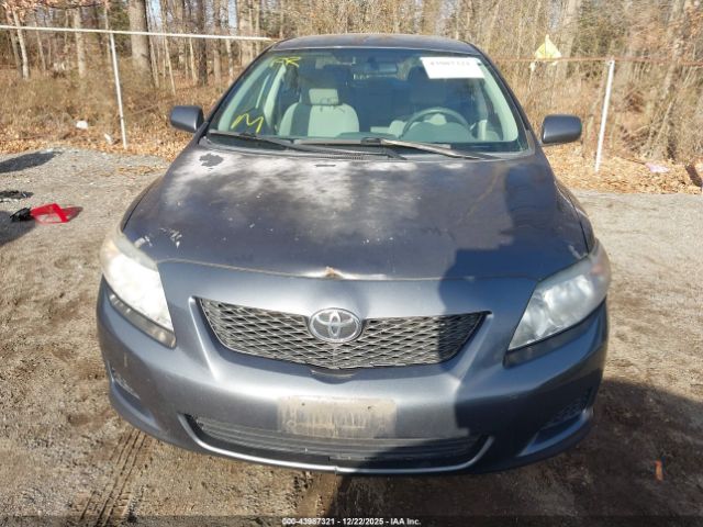 Toyota Corolla Le Image 6