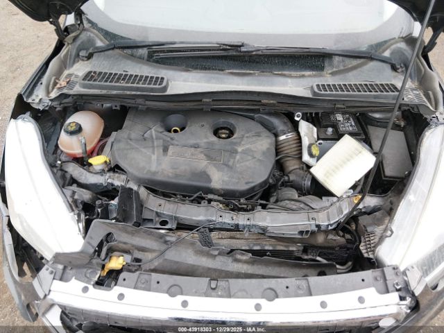 Ford Escape Titanium Image 4