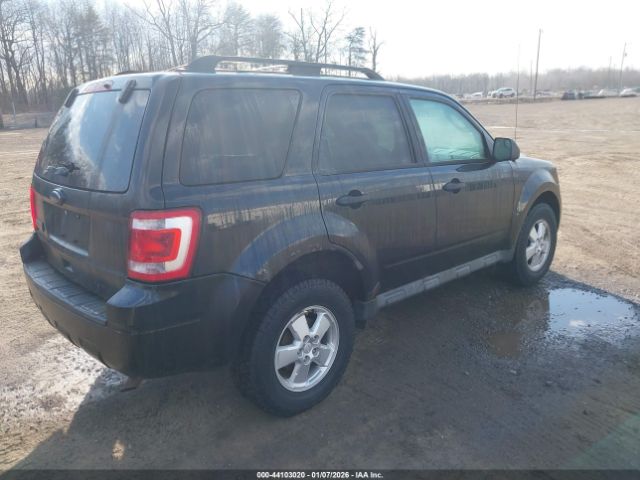 Ford Escape Xlt Image 4