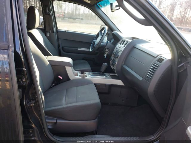 Ford Escape Xlt Image 5
