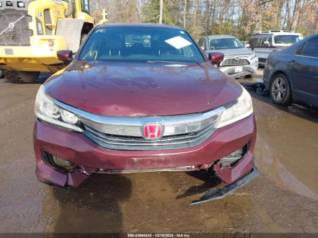 Honda Accord Sport Image 8