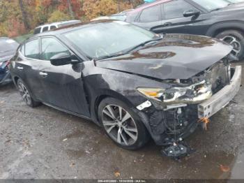  Salvage Nissan Maxima