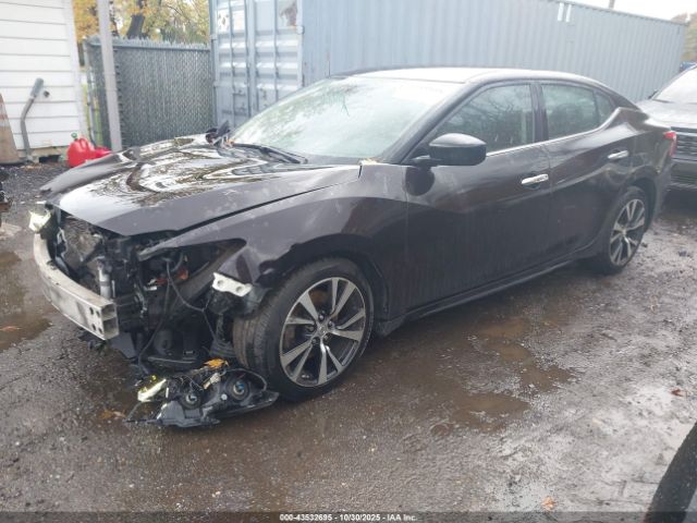 Nissan Maxima 3.5 S Image 2