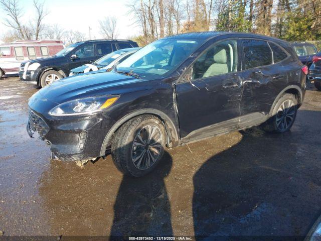 Ford Escape Se Image 5