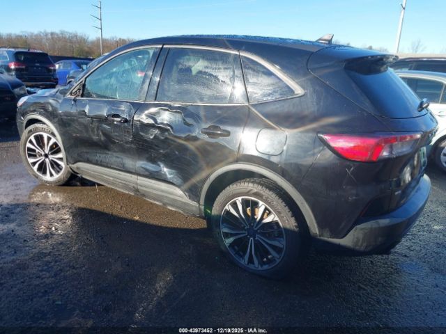 Ford Escape Se Image 6