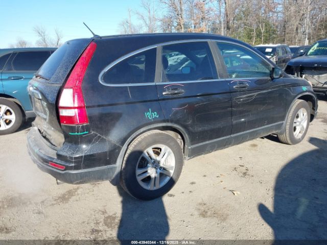 Honda CR-V Ex Image 3