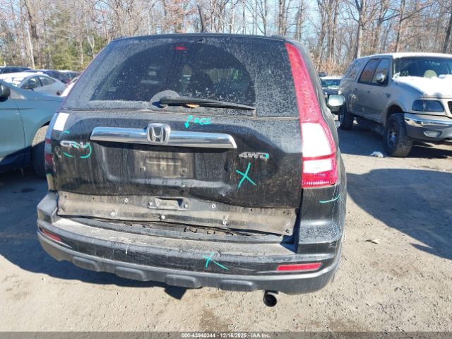 Honda CR-V Ex Image 6