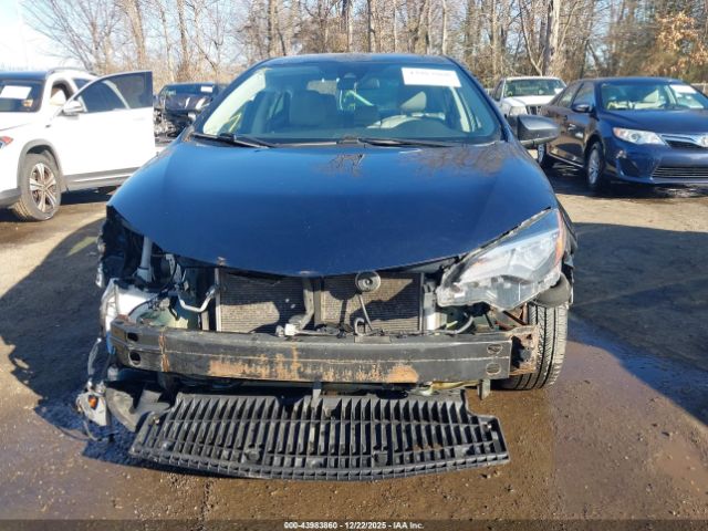 Toyota Corolla Le Image 12