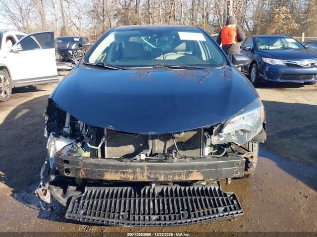 Toyota Corolla Le Image 11