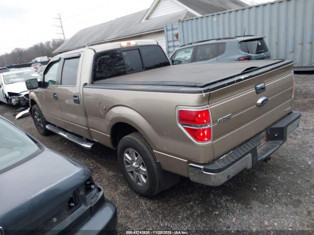 Ford F-150 Xlt Image 3