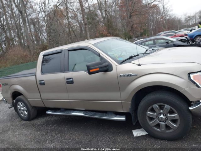 Ford F-150 Xlt Image 15