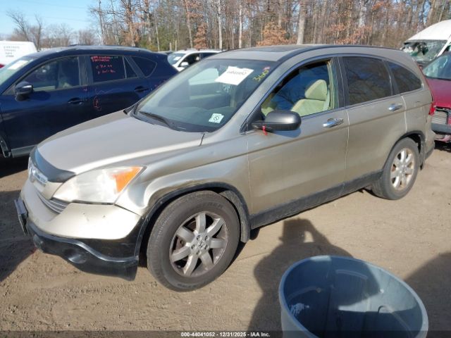 Honda CR-V Ex Image 6