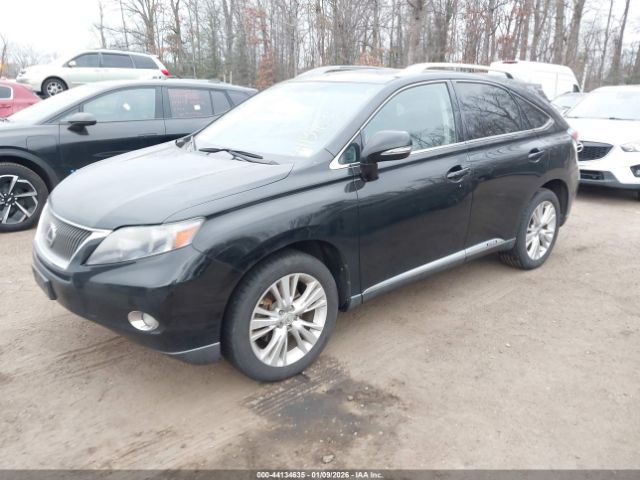 Lexus RX Image 16