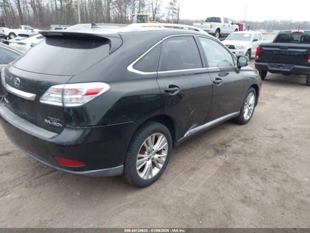 Lexus RX Image 15
