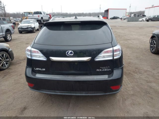 Lexus RX Image 5